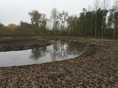 Création d'une zone humide - Marais de Sacy-le-Grand